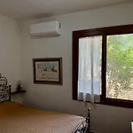 Wonderful View 哥斯达雷